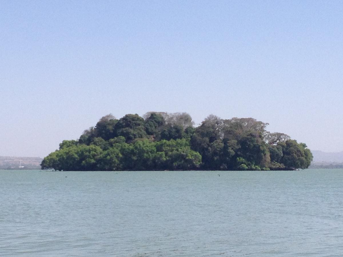 Lakemark Hotel And Tour Service Bahir Dar Exterior foto